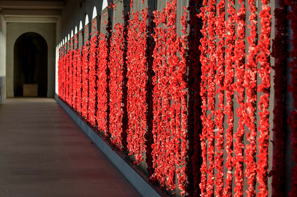 Wall of honour poppies at the Australian War memorial